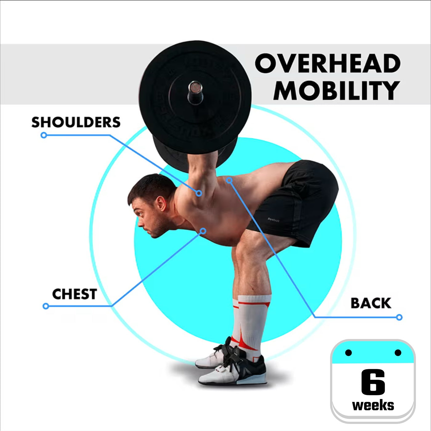 Overhead Mobility Program