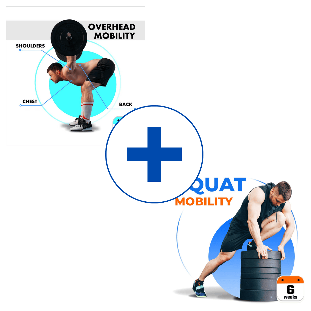 OVERHEAD MOBILITY + SQUAT MOBILITY