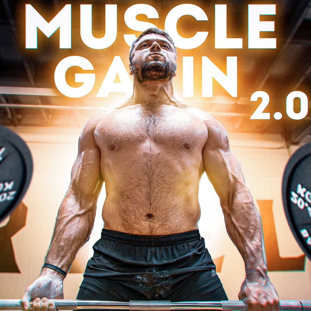 Muscle Gain Training Program ✔️ Torokhtiy Olympic Muscle