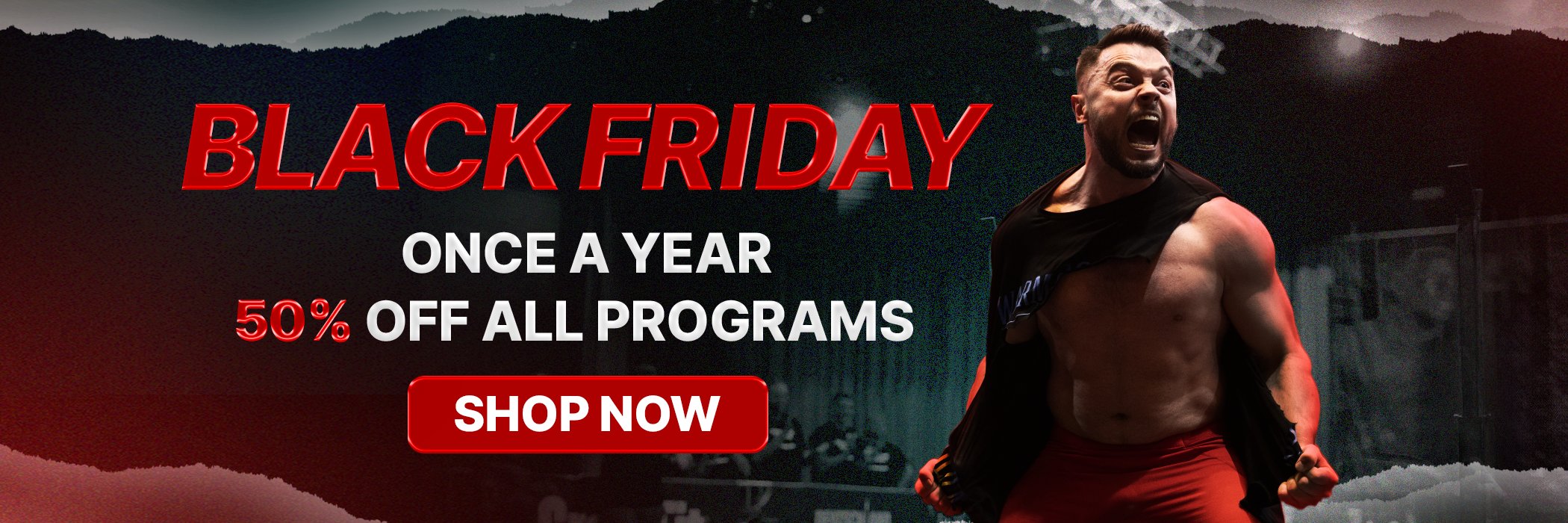 Oleksiy Torokhtiy black friday banner wide