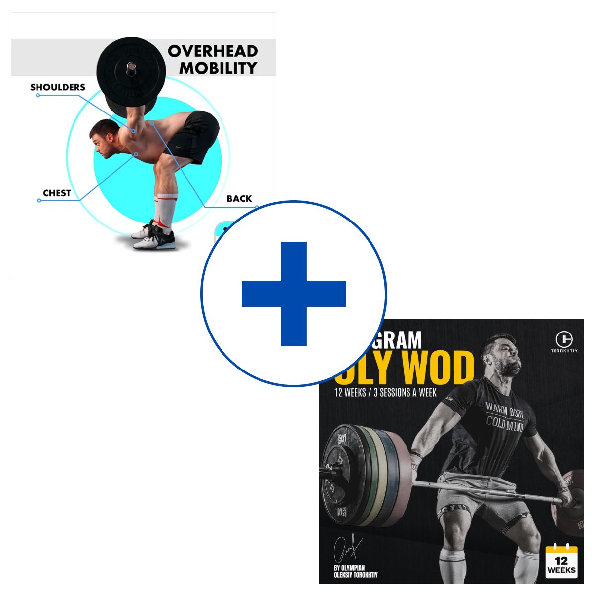 Overhead mobility oly wod covering of olympic weightlifting program from Oleksiy Torokhtiy