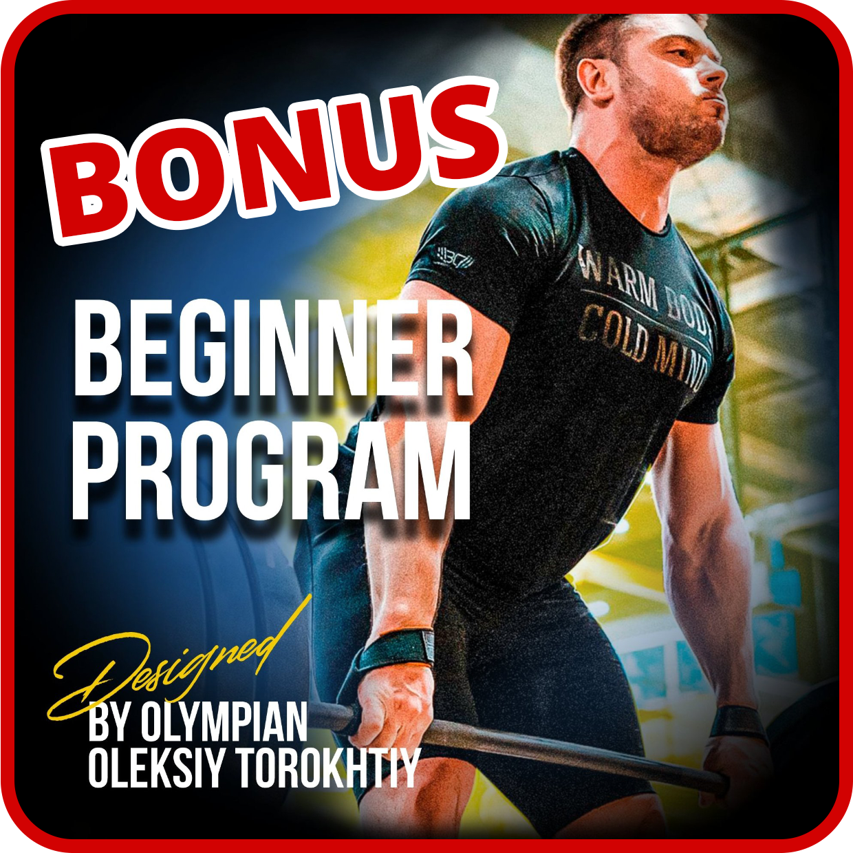 PROGRAM FOR BEGINNERS (100% FREE)