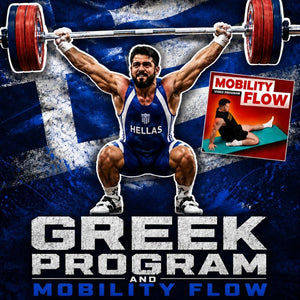 GREEK PROGRAM + MOBILITY FLOW