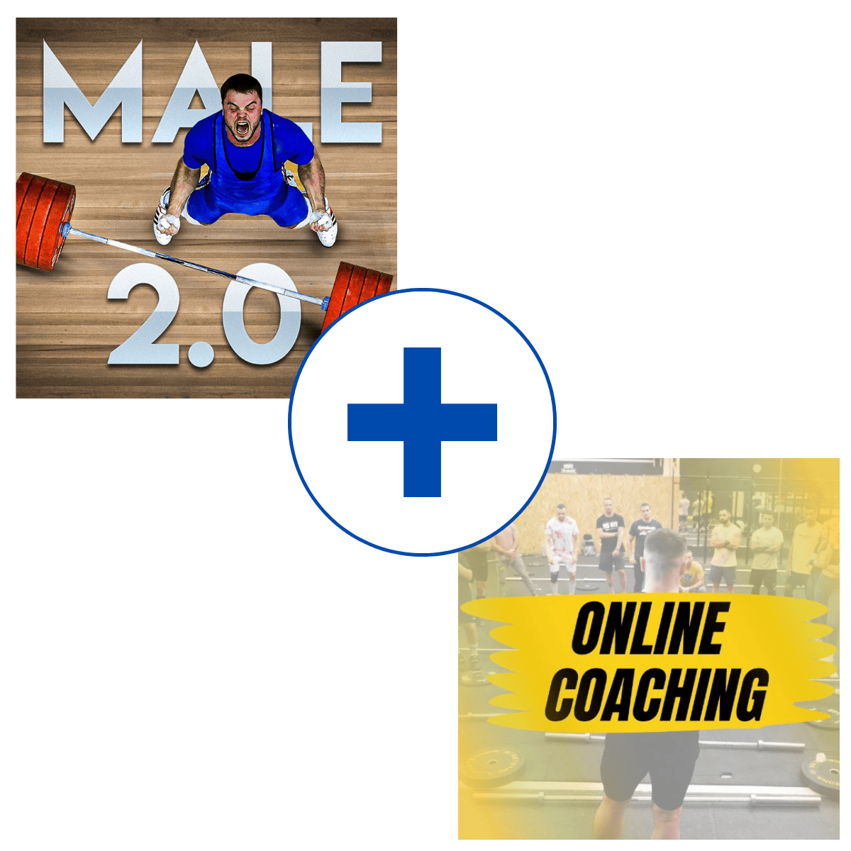 Covering of male 2 and community olympic weightlifting programs from Oleksiy Torokhtiy 