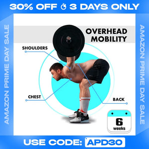 OVERHEAD MOBILITY