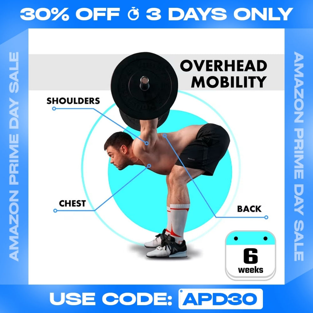 OVERHEAD MOBILITY