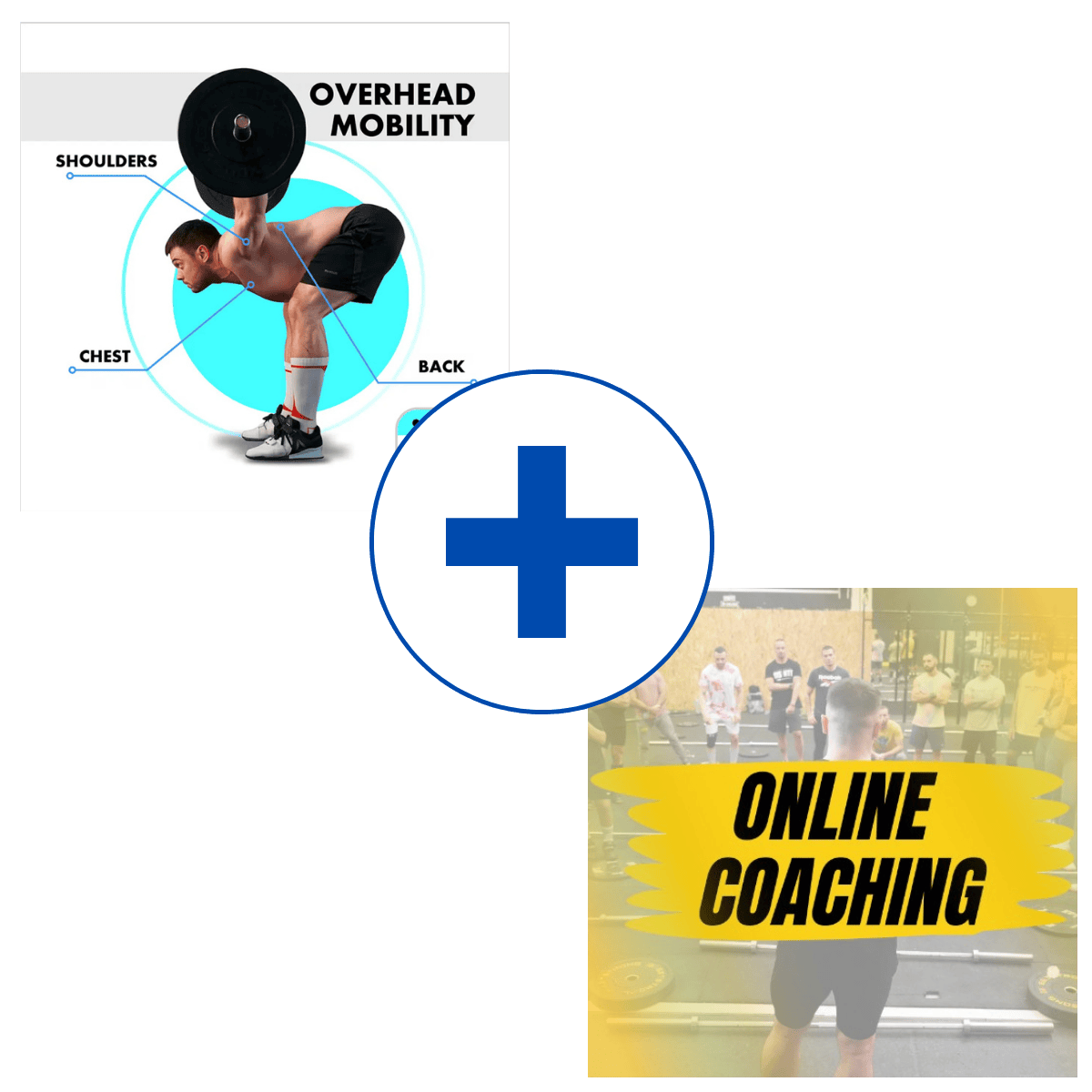 Cover of Oleksiy Torokhtiy overhead mobility and community olympic weightlifting programs