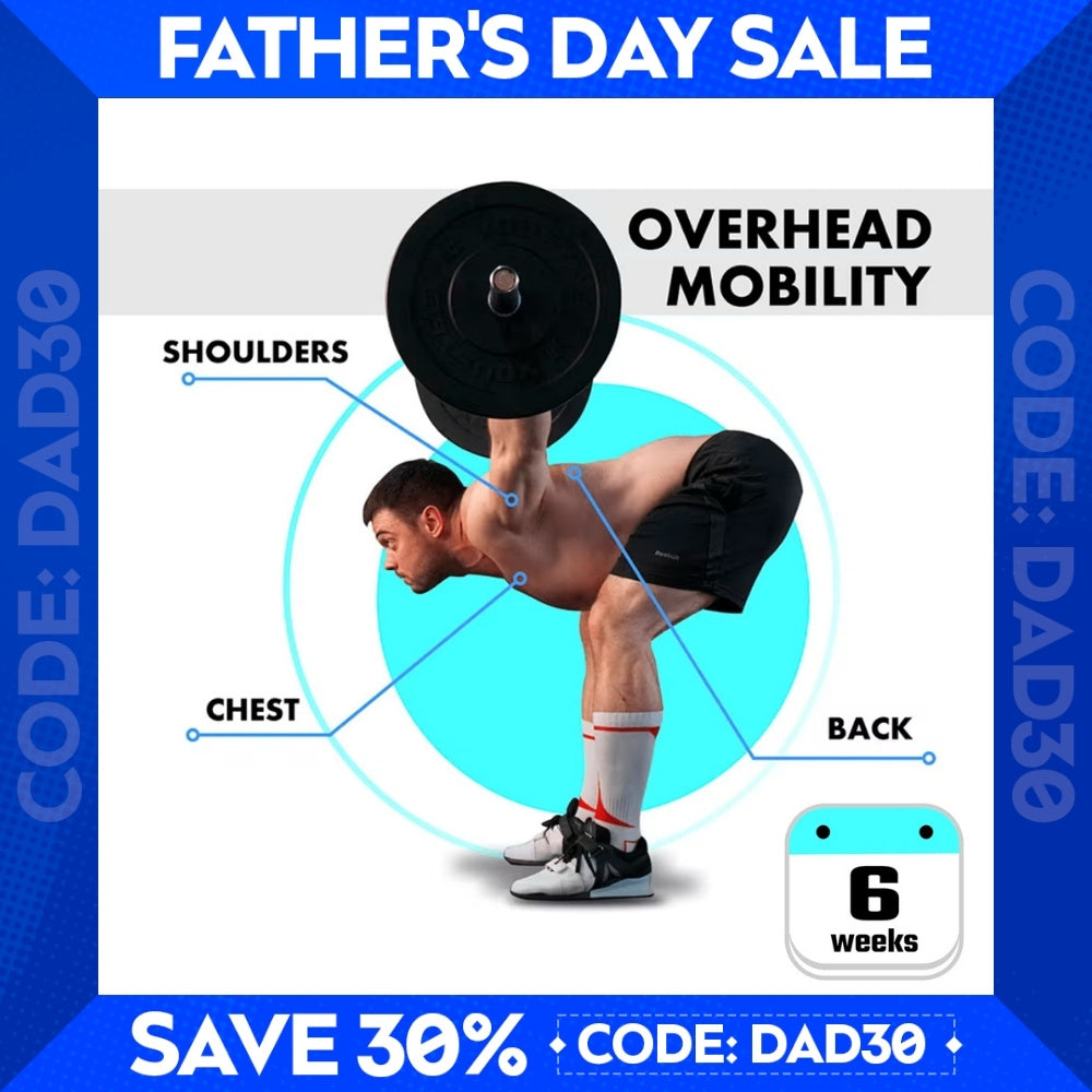 OVERHEAD MOBILITY