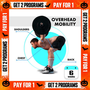 OVERHEAD MOBILITY