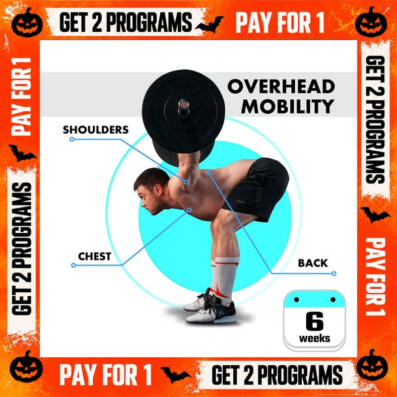 OVERHEAD MOBILITY