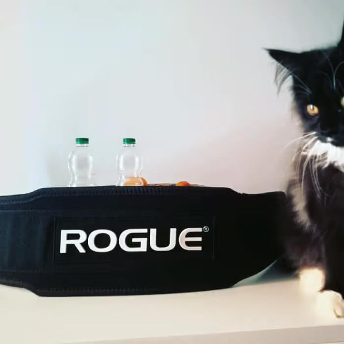 Rogue 5” Nylon Weightlifting Belt in use