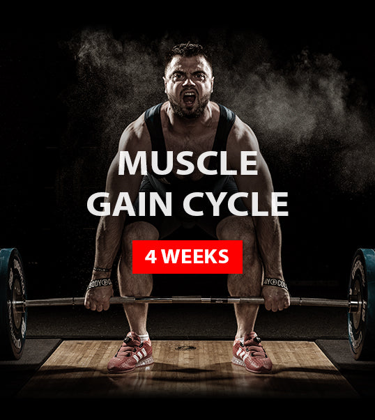 MUSCLE GAIN CYCLE - (Torokhtiy Weightlifting)